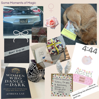 Radiant Receptivity- The Guide