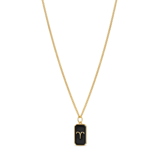 Black Enamel zodiac necklace