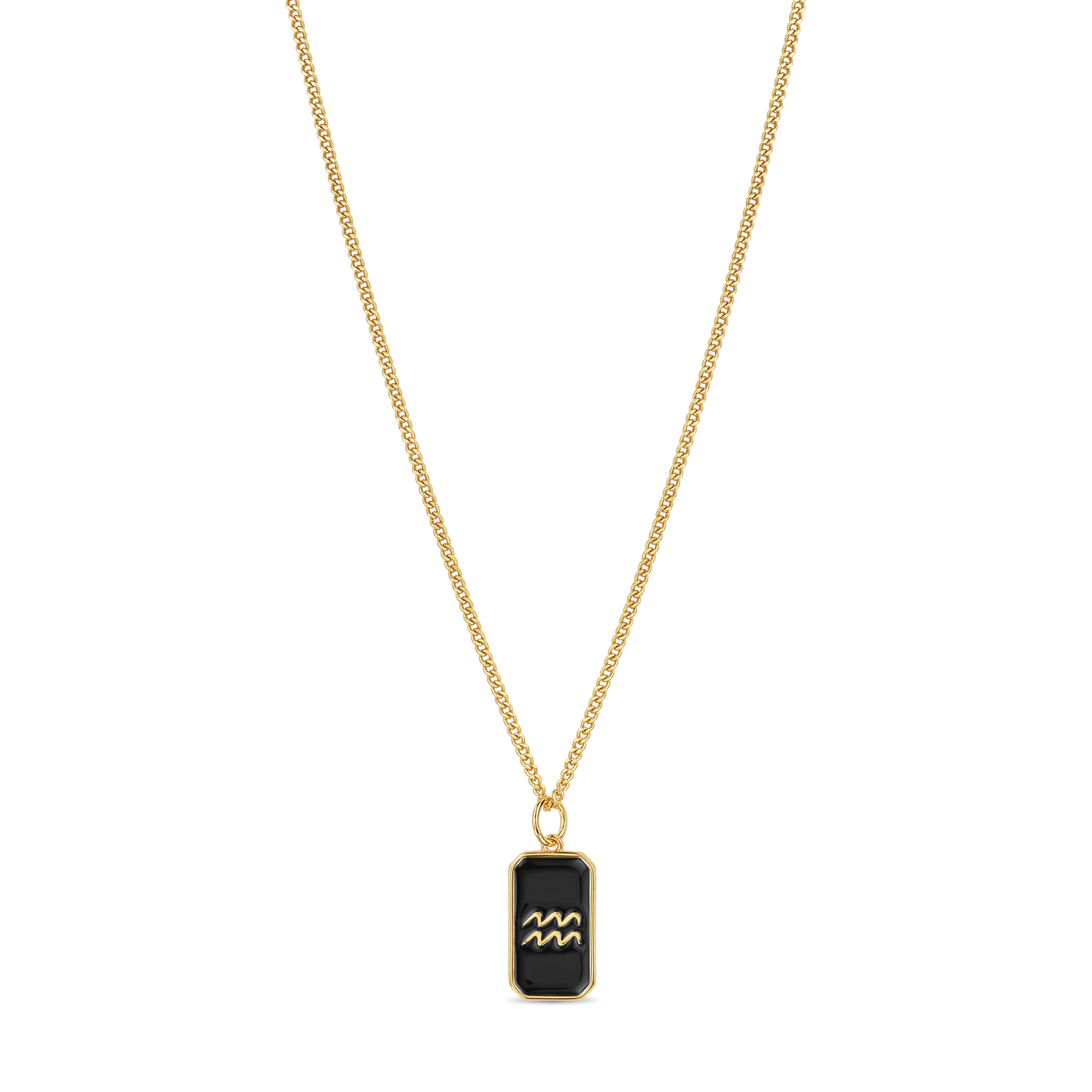 Black Enamel zodiac necklace