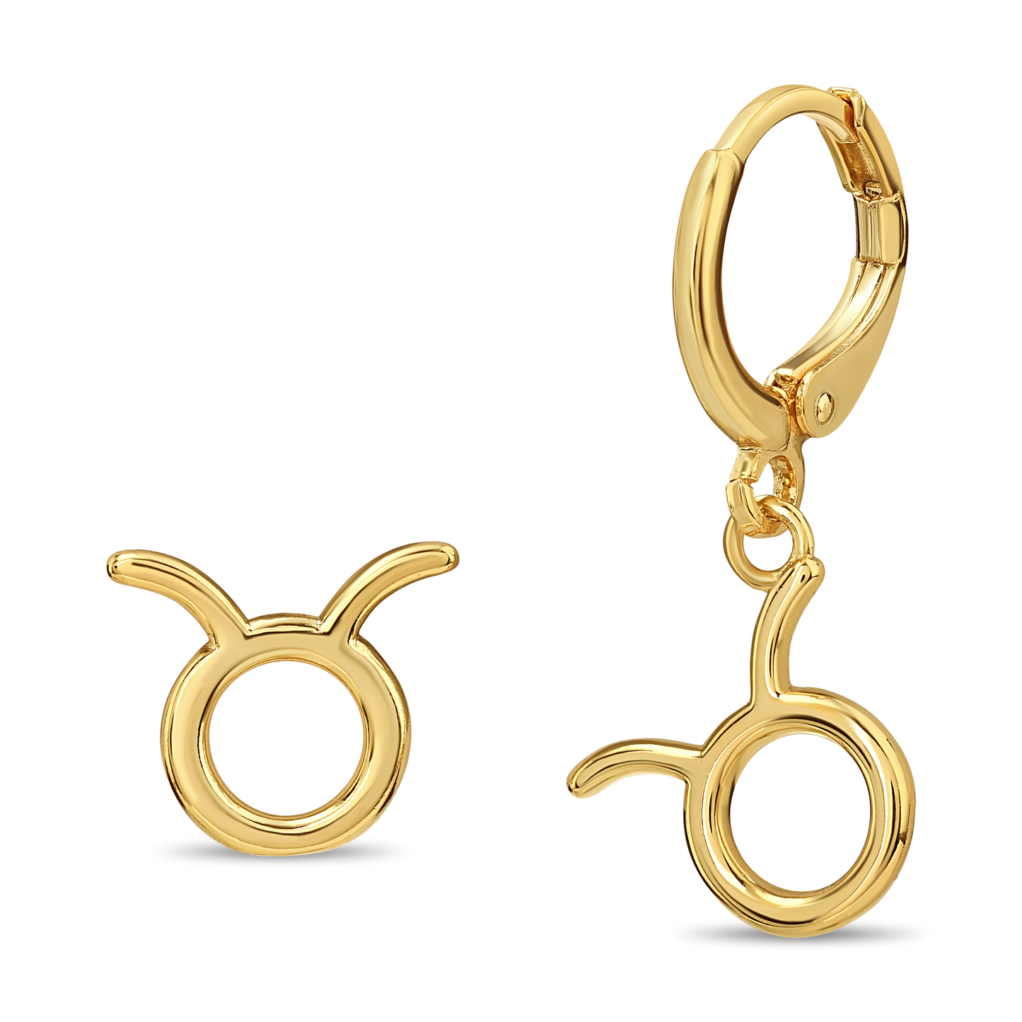 Astro Zodiac earrings