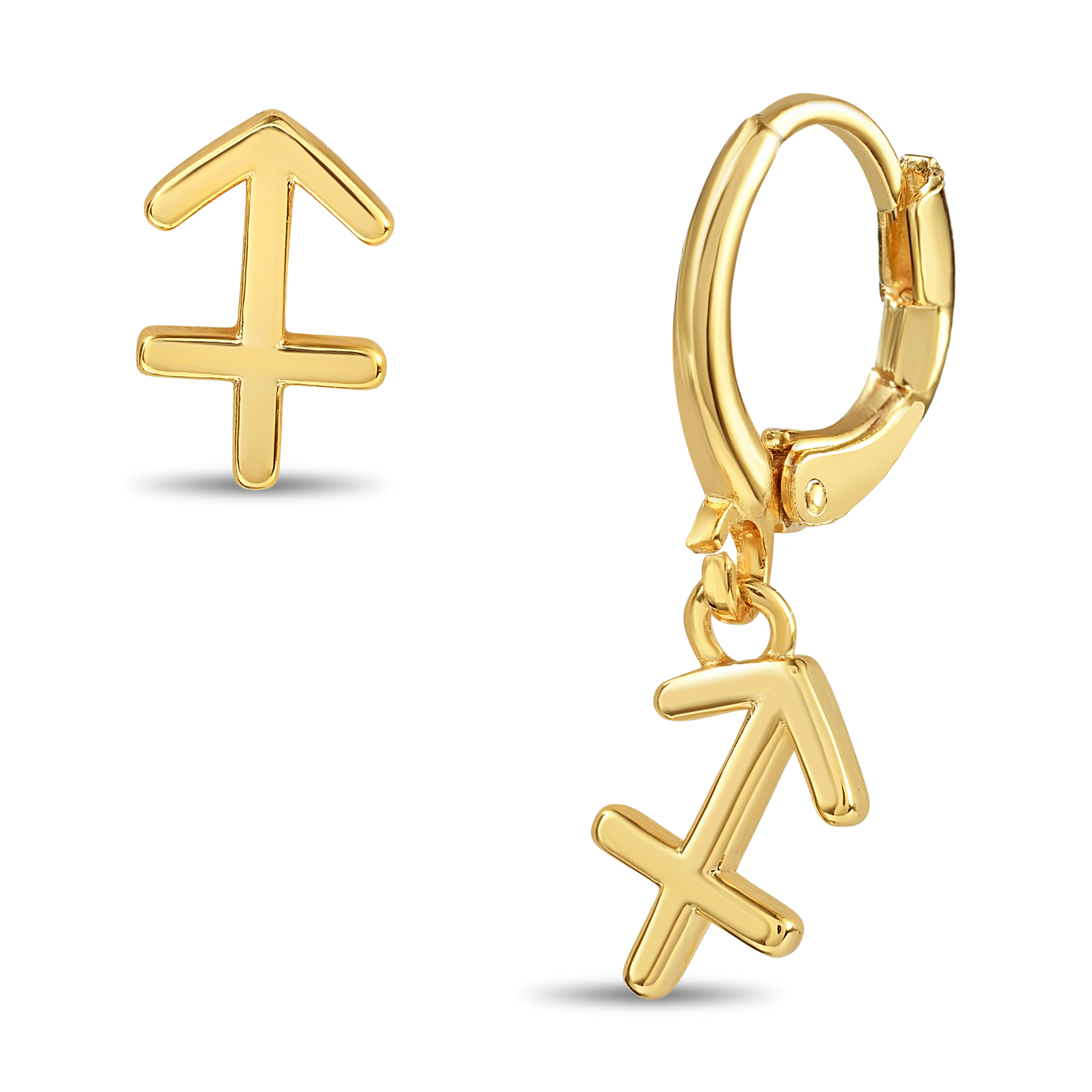Astro Zodiac earrings