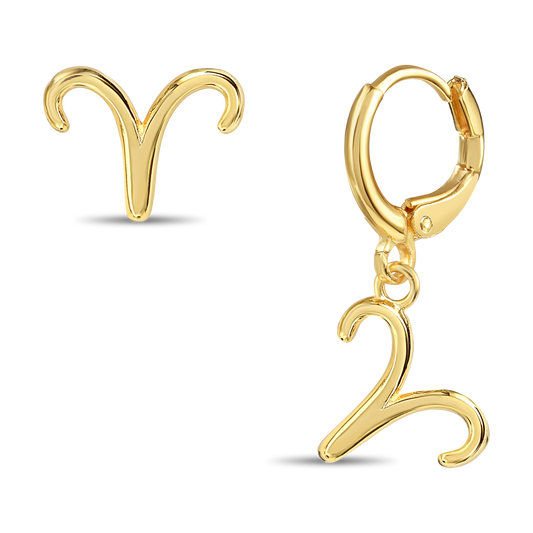 Astro Zodiac earrings