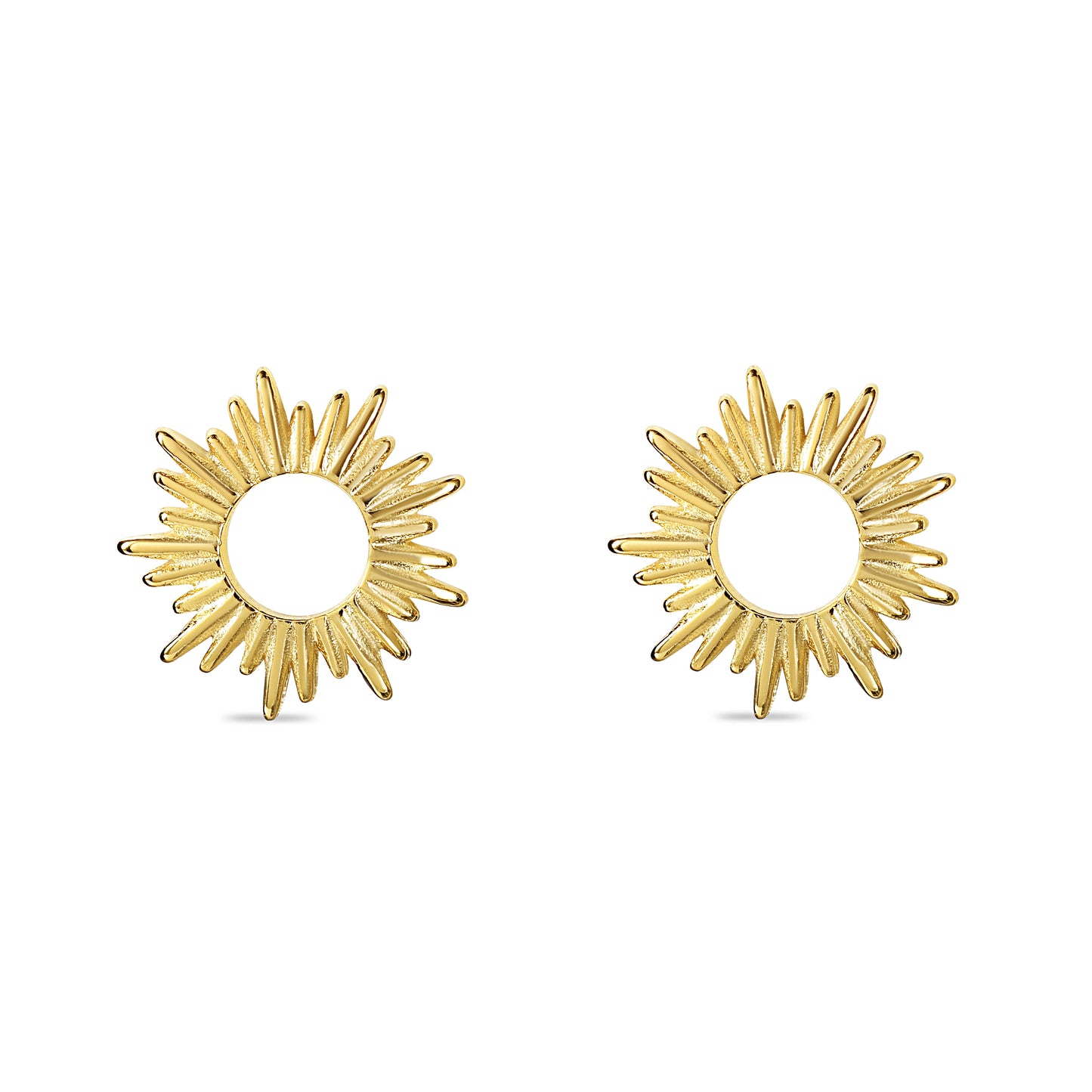 Ray Ray Studs